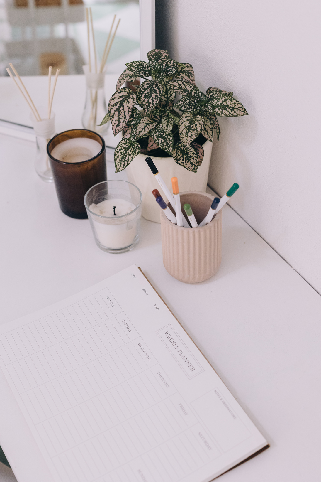 Minimalist Workspace with Houseplant